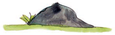 eikona086