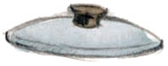 eikona218