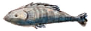 eikona301