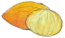 eikona451
