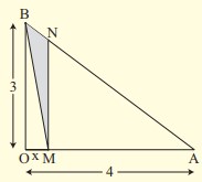 shape