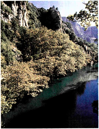 εικόνα